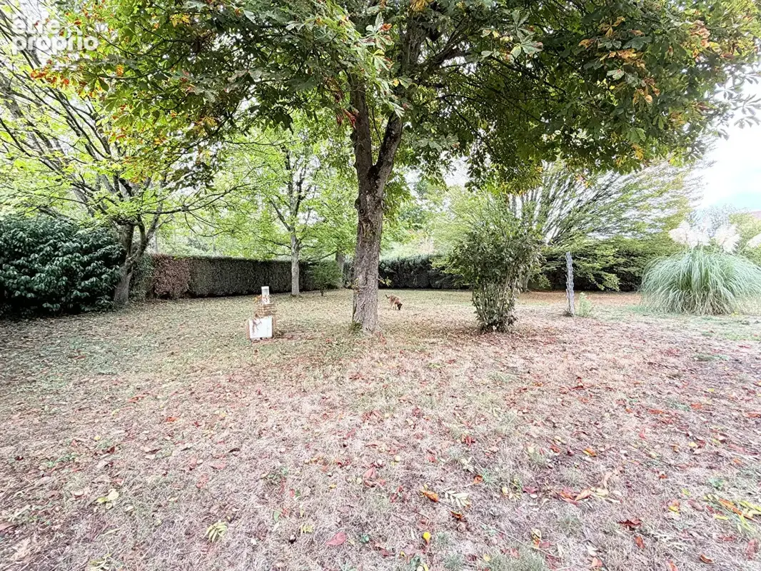 Superbe pavillon de maçon lumineux de 370 m² - terrain de 3 680 m² - activité de chambres d'hôtes ! - photo 17