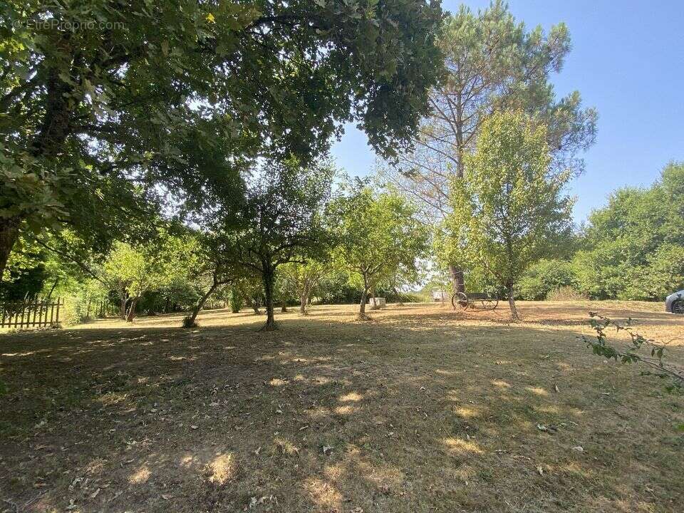 Maison à LABASTIDE-D&#039;ARMAGNAC