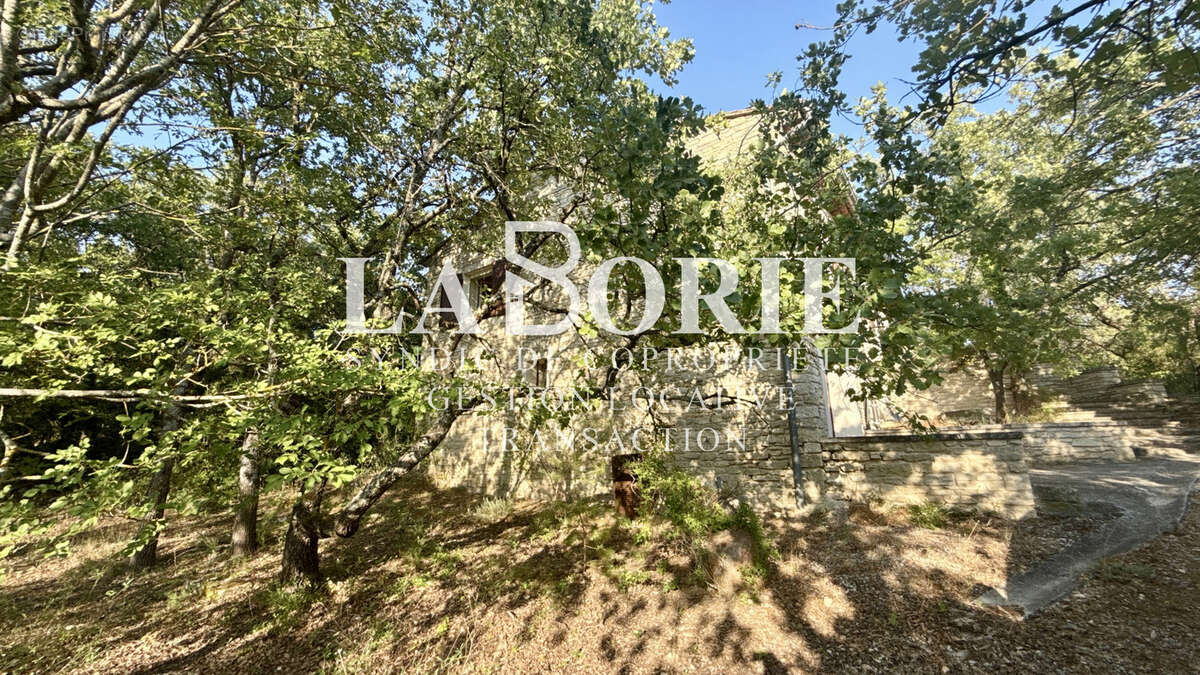 GORDES   Élégante propriété au cœur d'une oliveraie d'un hectare - photo 18