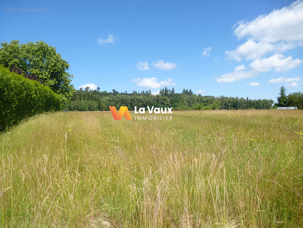 Terrain à LACHAPELLE