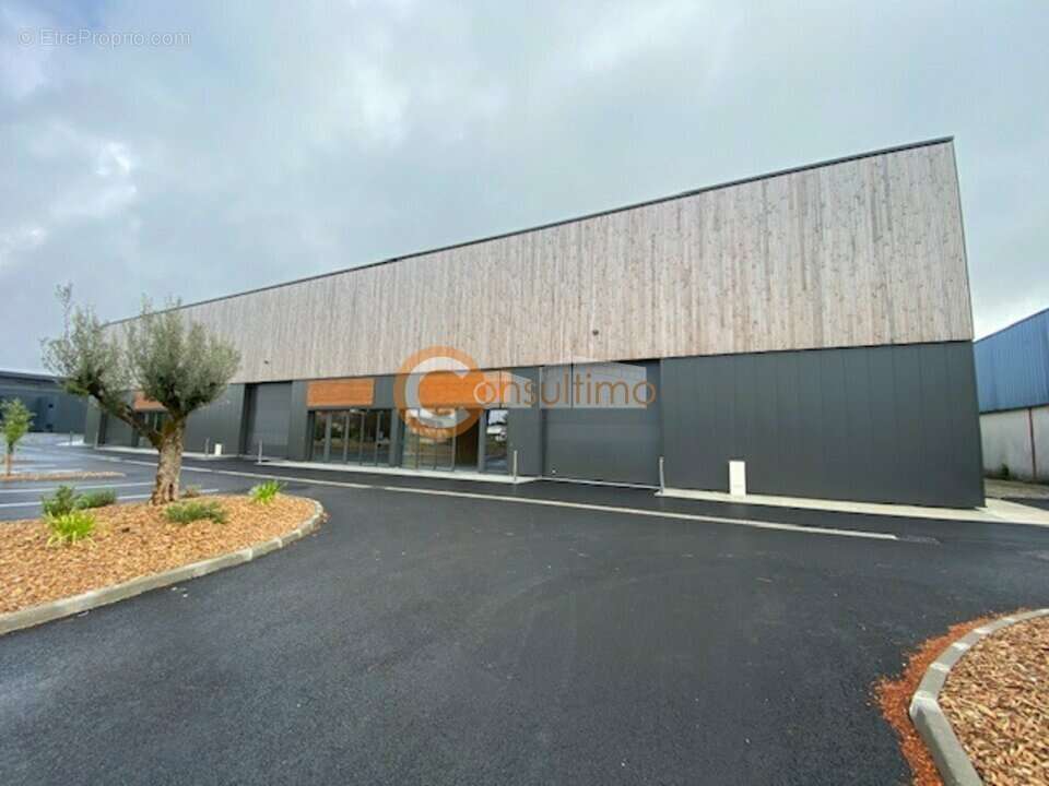 Local d'activite à vendre - photo 9
