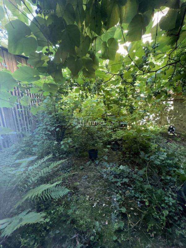 Appartement à NIEDERBRONN-LES-BAINS