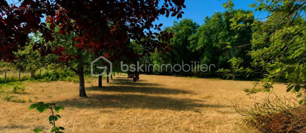 Maison en pierre de 150 m2 avec dépendances - photo 18