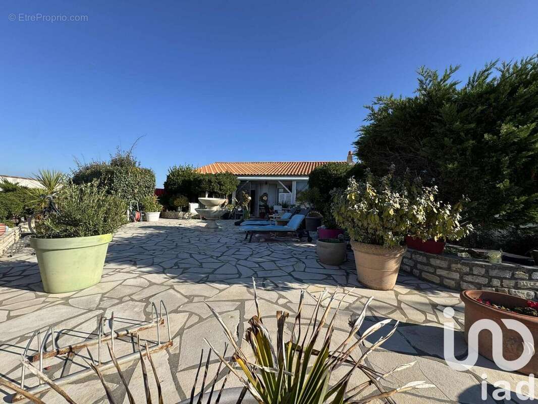 Photo 3 - Maison à SAINTE-MARIE-DE-RE