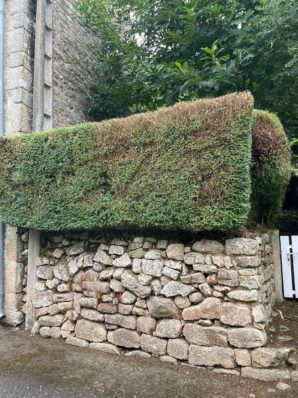 Guemene sur scorff maison en pierre 3 pieces de 53m² environ habitable parcelle de 108m² environ - photo 13