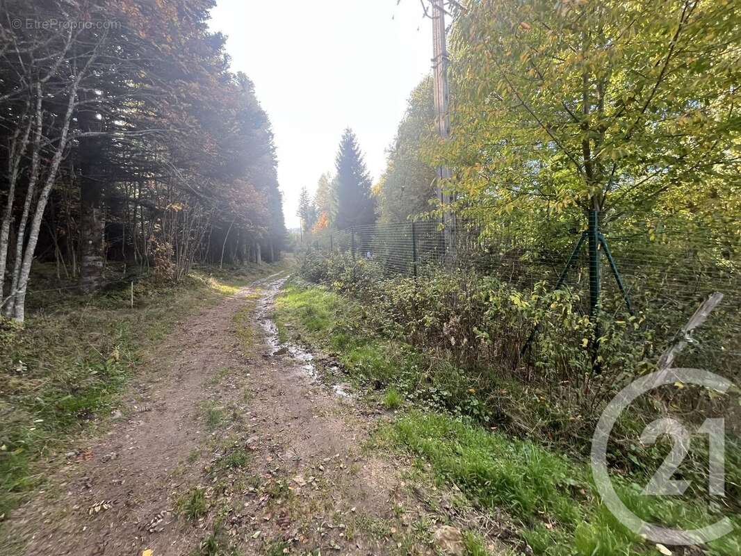 Terrain à BURDIGNES