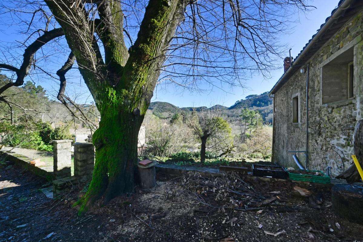 Maison à SAINT-SEBASTIEN-D'AIGREFEUILLE
