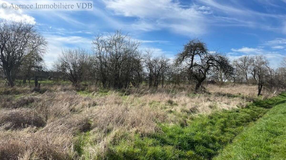 A vendre terrain viabilisé à ARRACOURT - photo 4