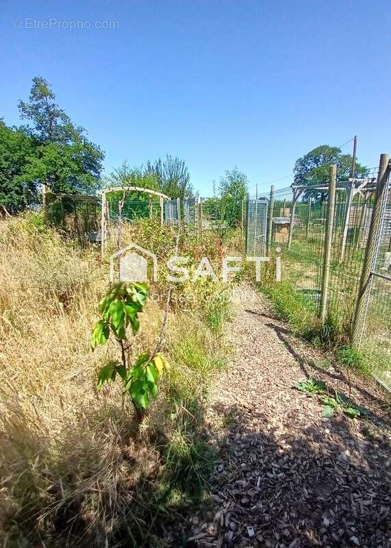 Photo 8 - Commerce à BRAINS-SUR-LES-MARCHES