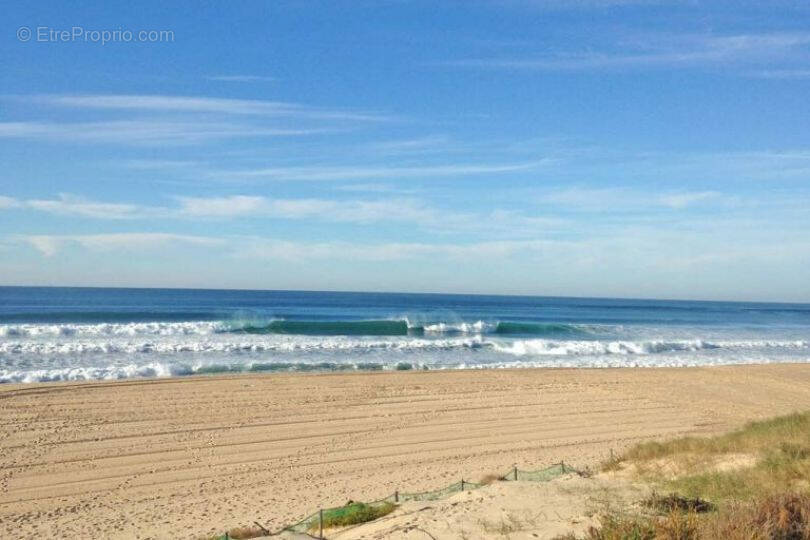 Terrain à SAINT-JULIEN-EN-BORN