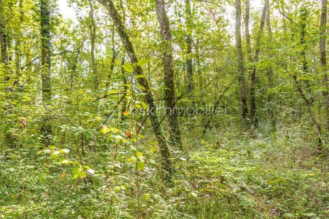 Terrain à NANTEAU-SUR-LUNAIN