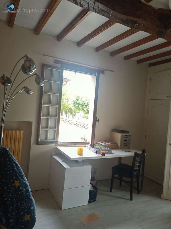 Commerce 110 m² à Sabaillan  - photo 6