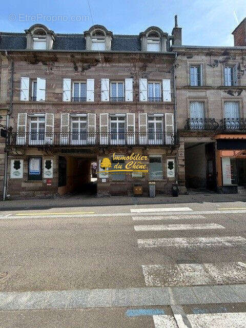 Commerce à LUXEUIL-LES-BAINS