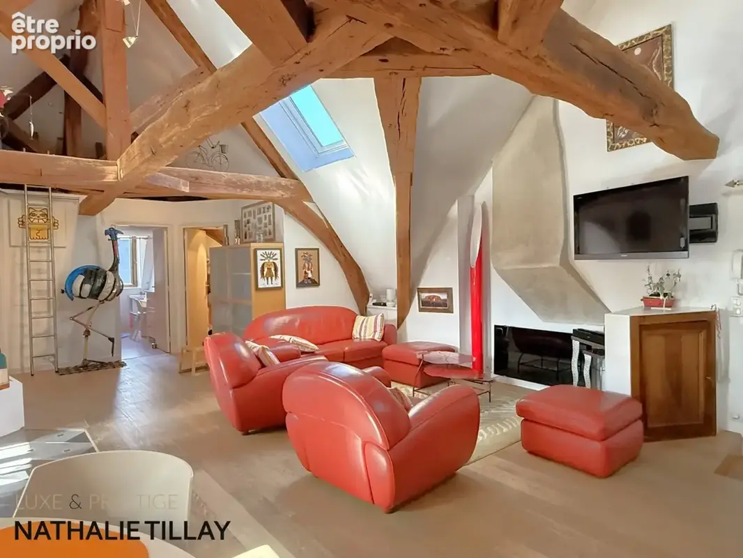 Appartement esprit loft, a vendre, Face Loire Orleans, dernier etage en hotel particulier - photo 8