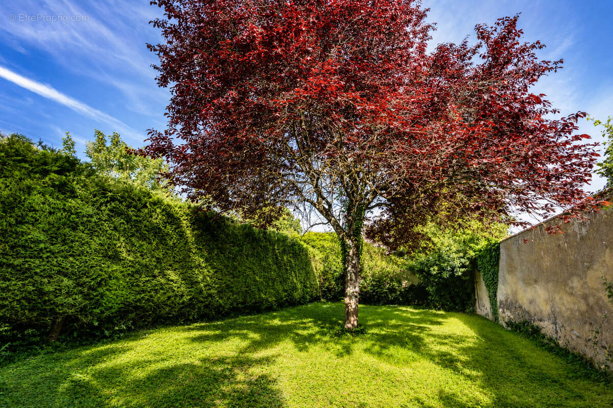 Appartement à BEAUNE