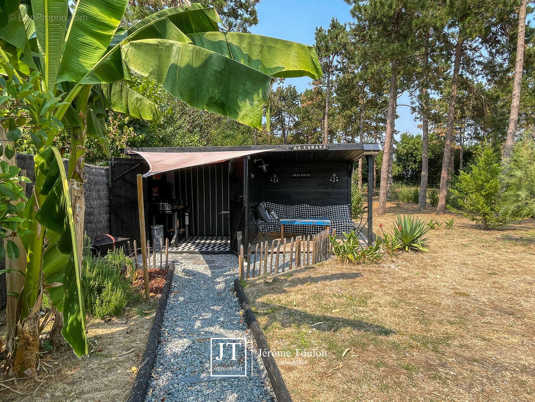 La Canopée - photo 35