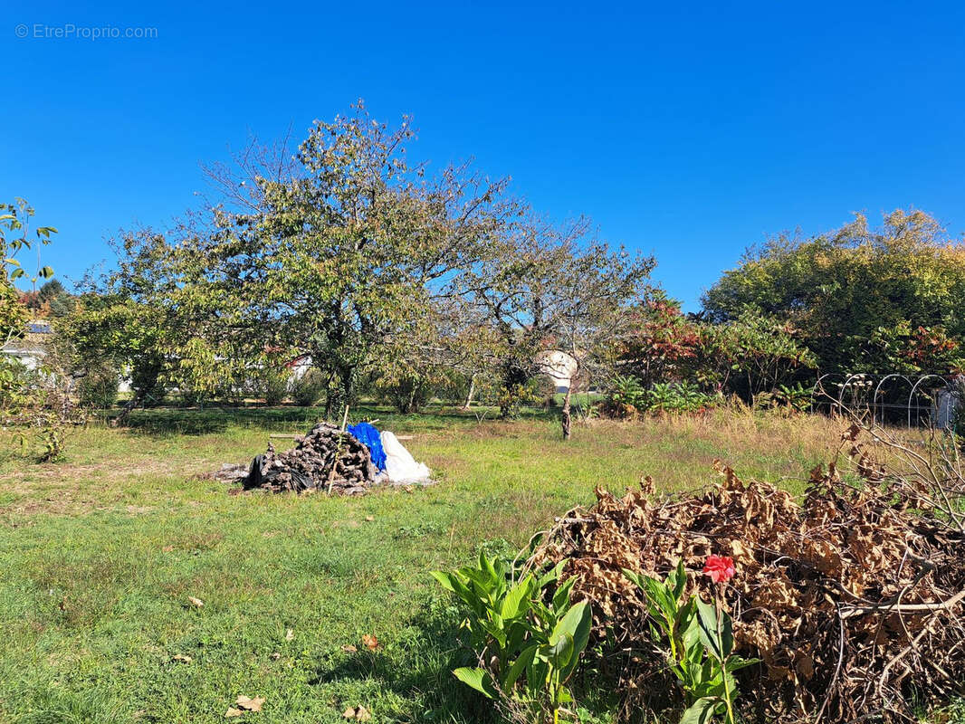 Terrain à SAINT-MACAIRE