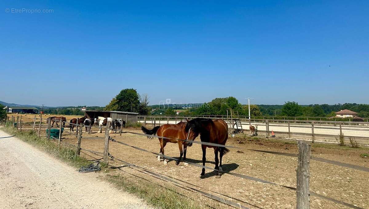 Centre equestre avec manege couvert et cabinet d'equitherapie - photo 4