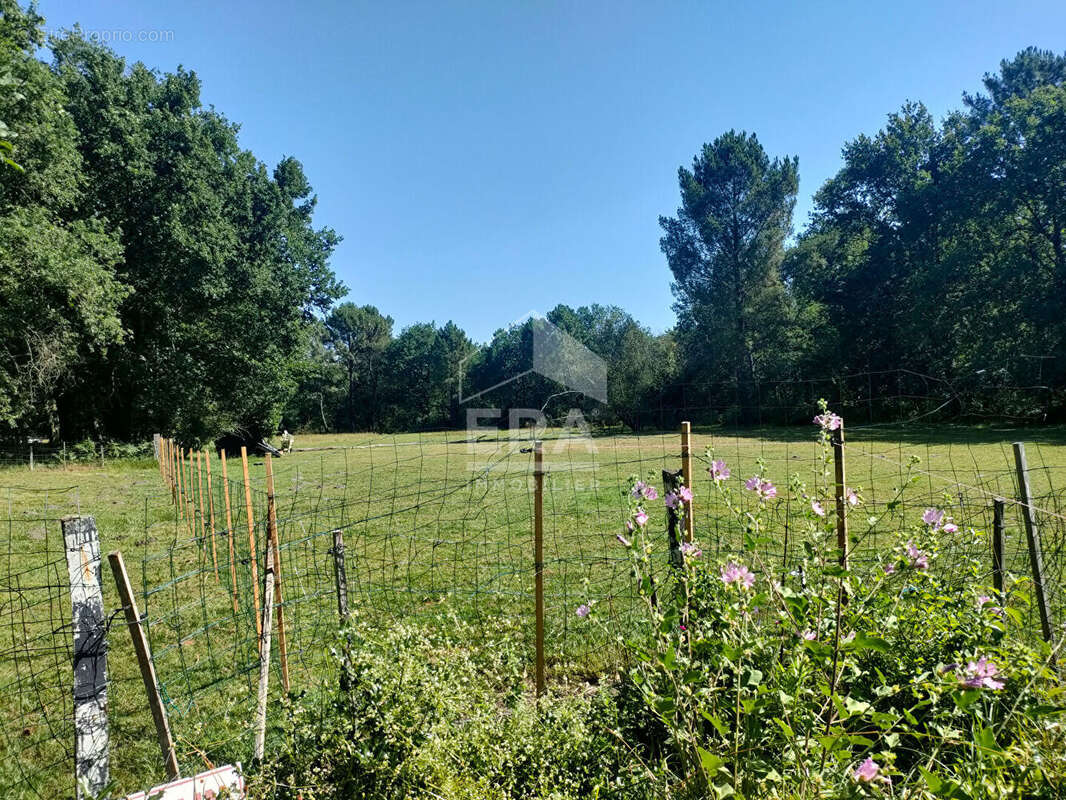Maison 3 pièces à vendre à Saint-Savin - Terrain de 17200 m² - photo 12