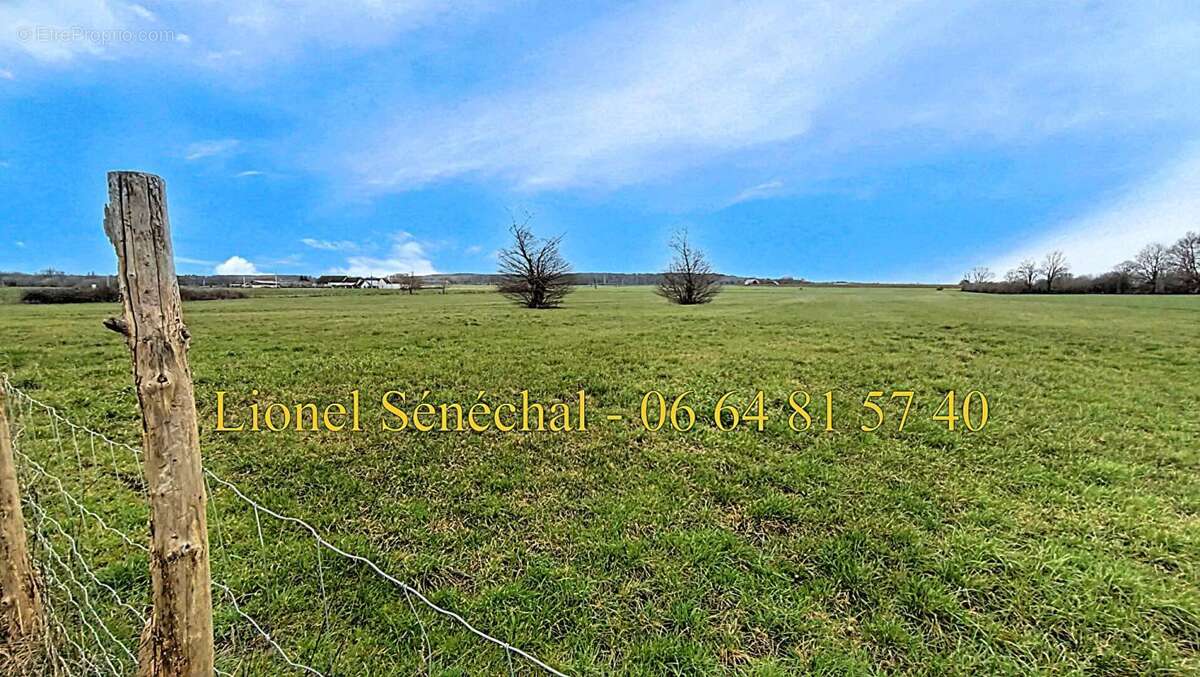 Maison à SAVIGNE-L'EVEQUE