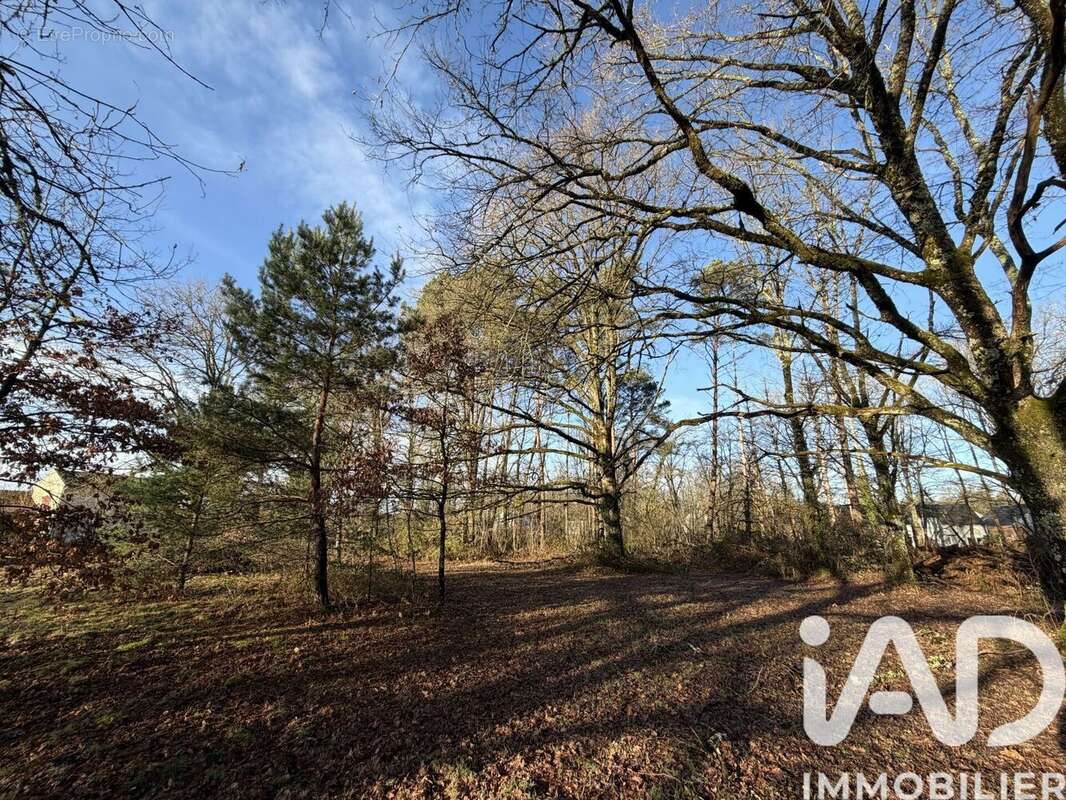 Photo 3 - Terrain à NANCAY
