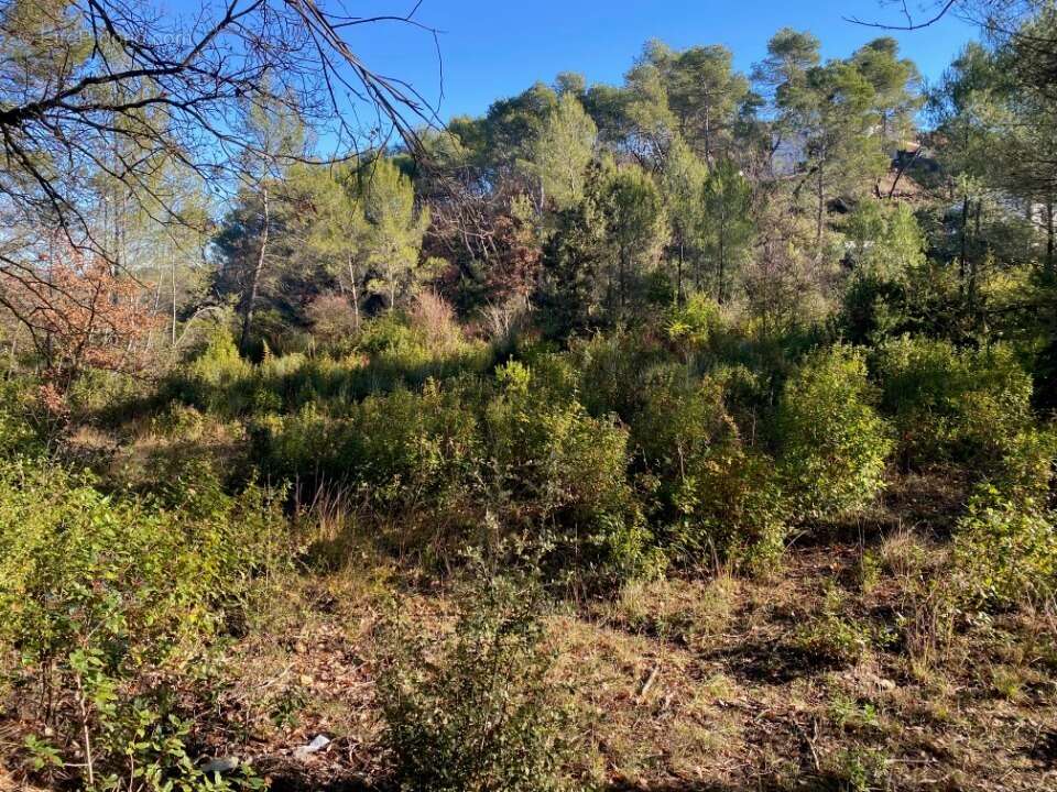 Terrain 399 m² à Brignoles  - photo 3