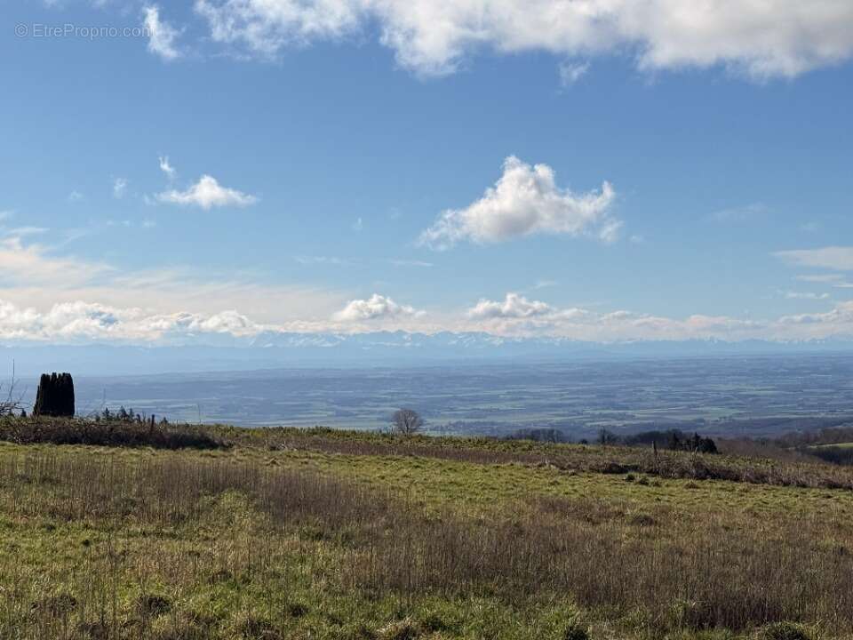 Terrain à LES BRUNELS