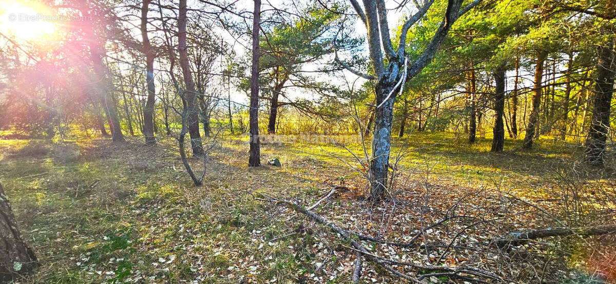 Maison à PLAN-D'AUPS-SAINTE-BAUME