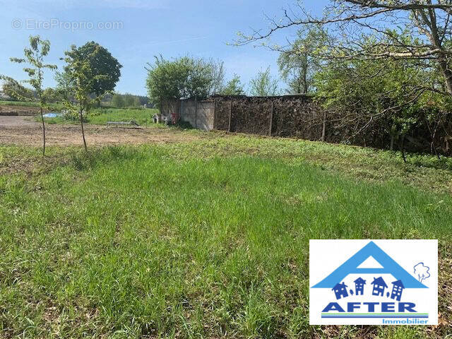 Terrain à LES FORGES
