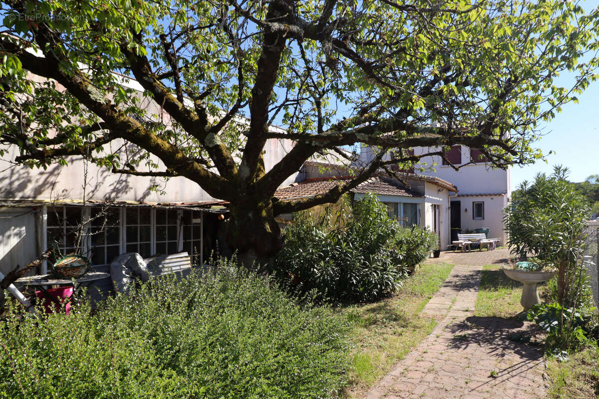 Maison à MESCHERS-SUR-GIRONDE