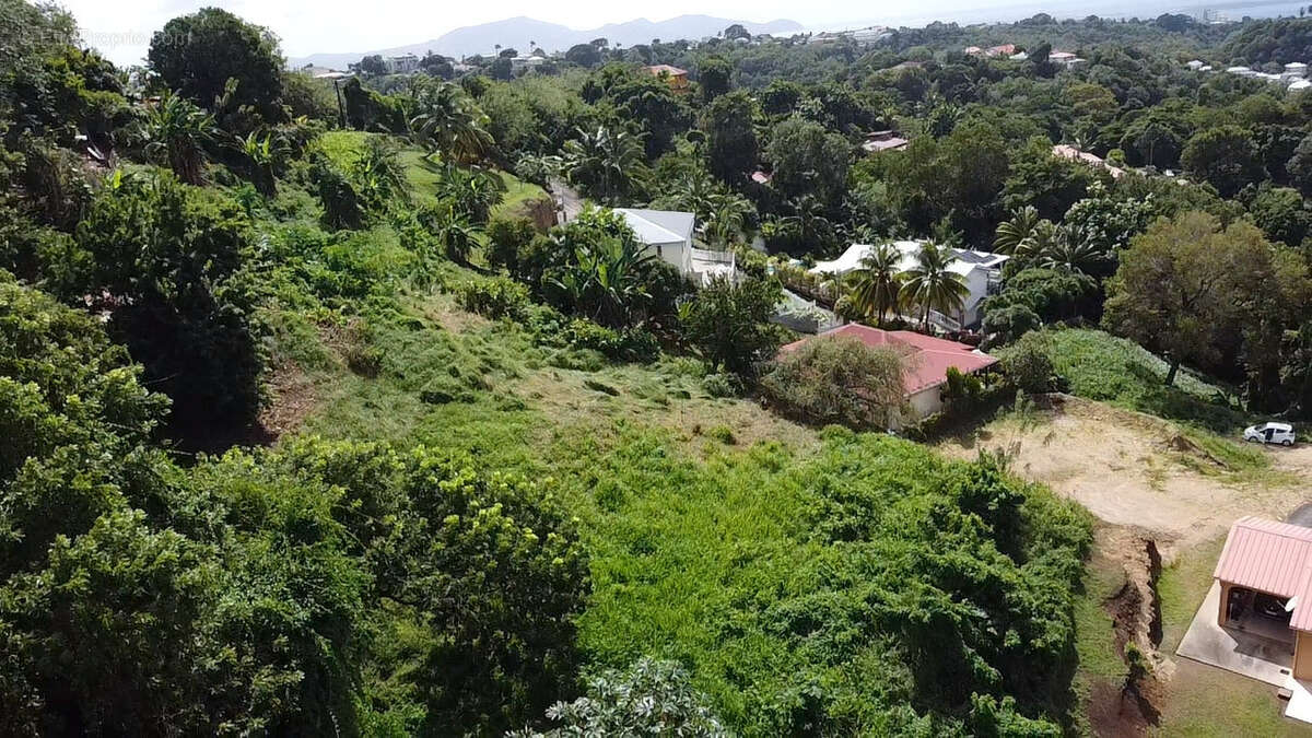 Grand terrain constructible a schoelcher - photo 4