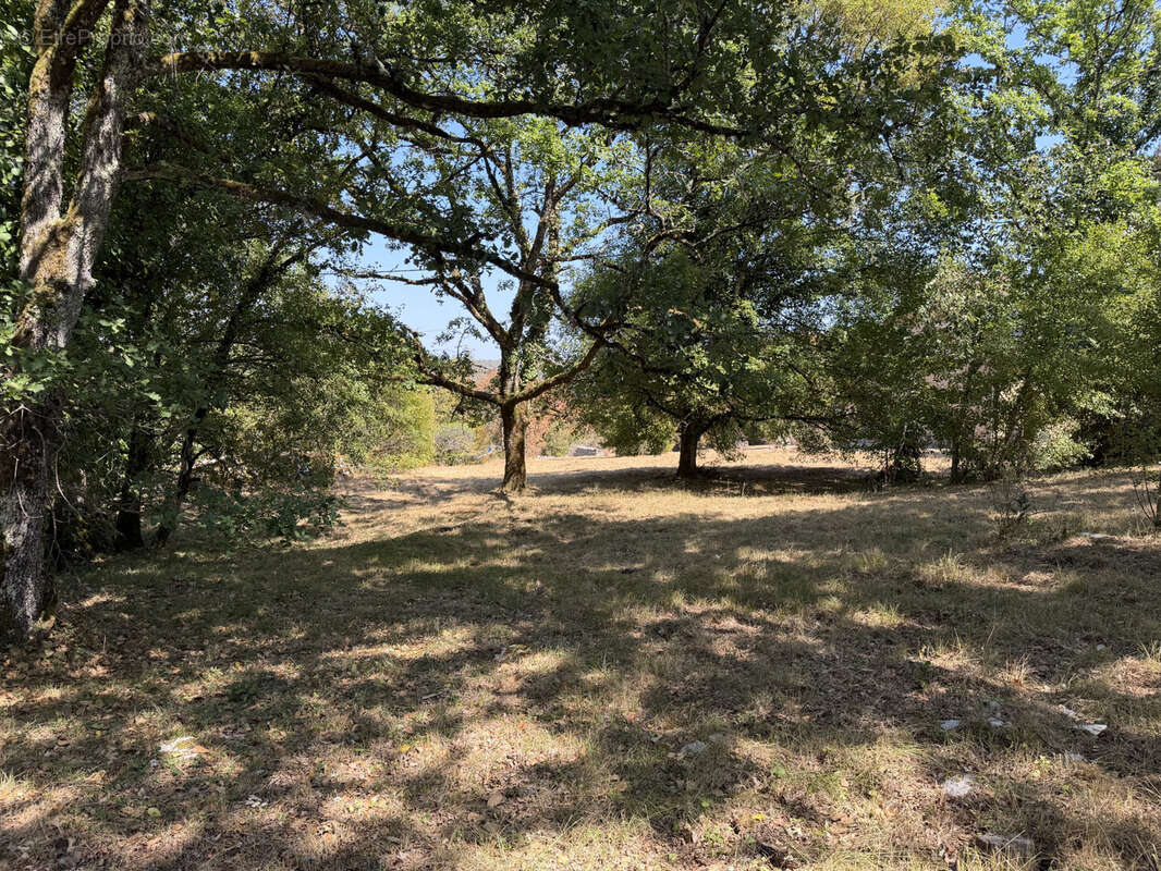 Terrain constructible - photo 4