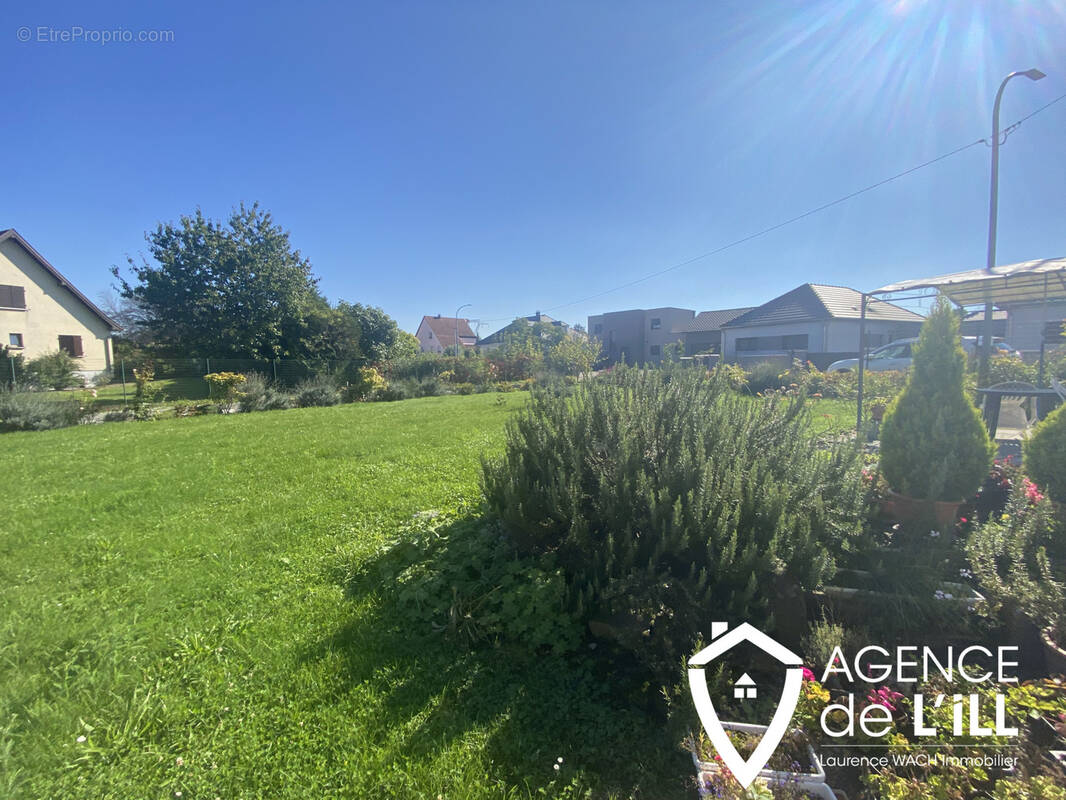 Terrain à HESSENHEIM