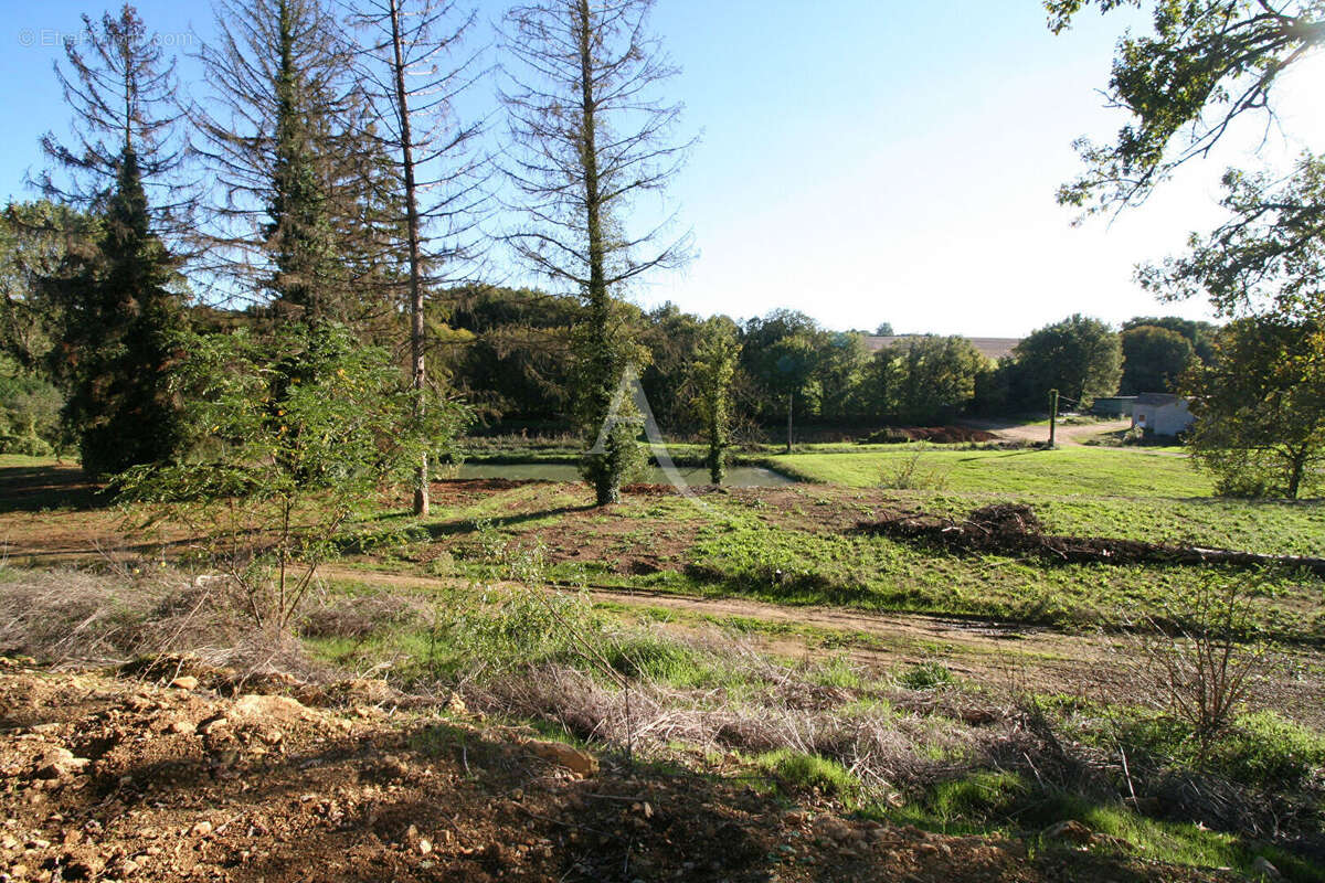Terrain à LIGUGE