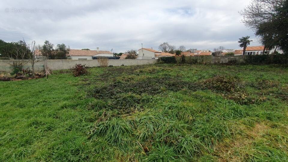 Terrain à DOMPIERRE-SUR-MER