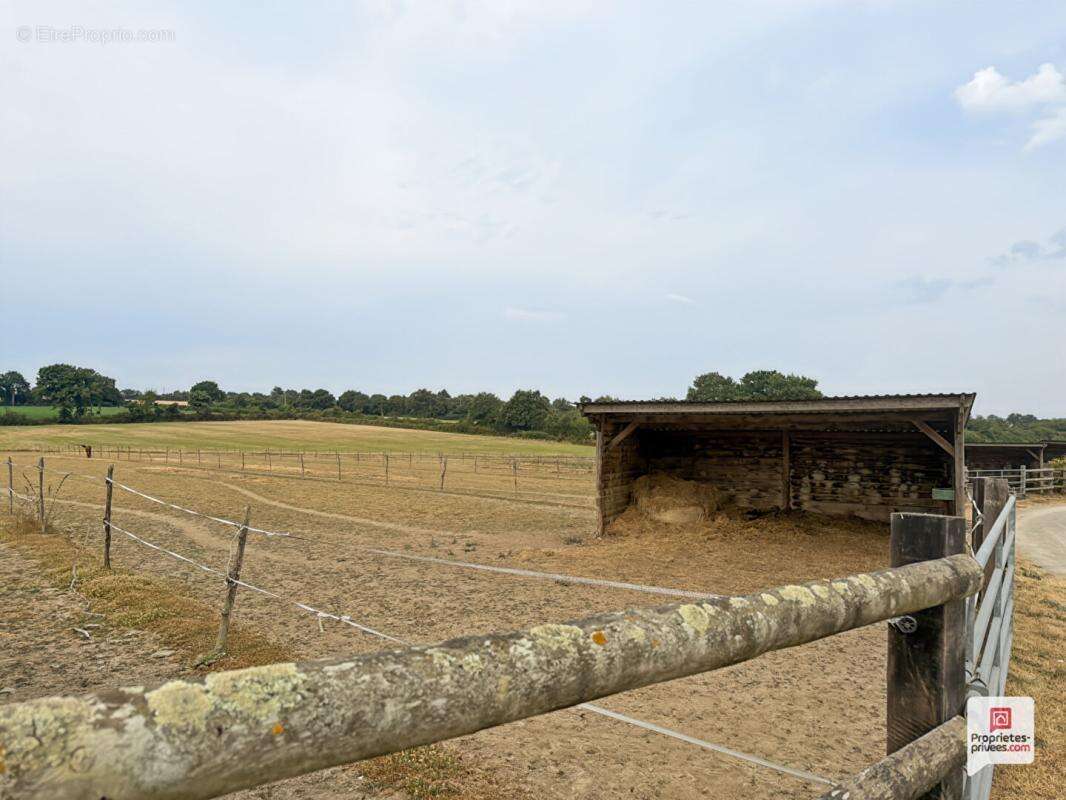 Propriété equestre Erdre En Anjou 7 pièce(s) 169 m2 - photo 7