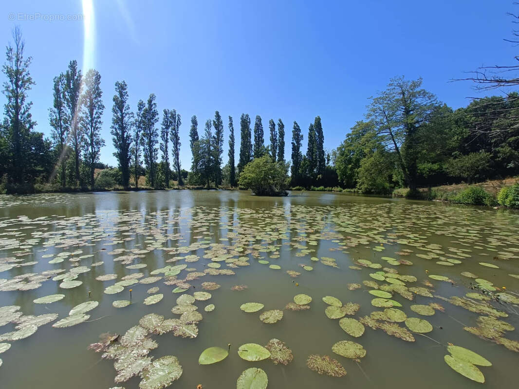 Maison à SAINT-MESMIN