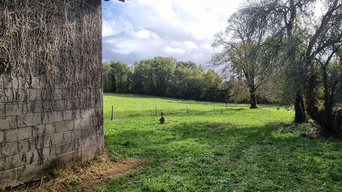 20251023_150341 - Maison à SAINT-ESTEPHE