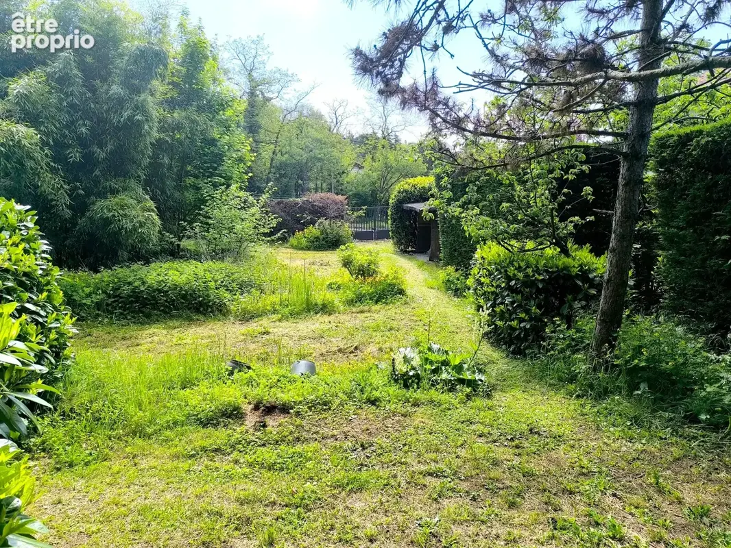 Saint-Didier-au-Mont-d'Or – Terrain constructible - photo 4