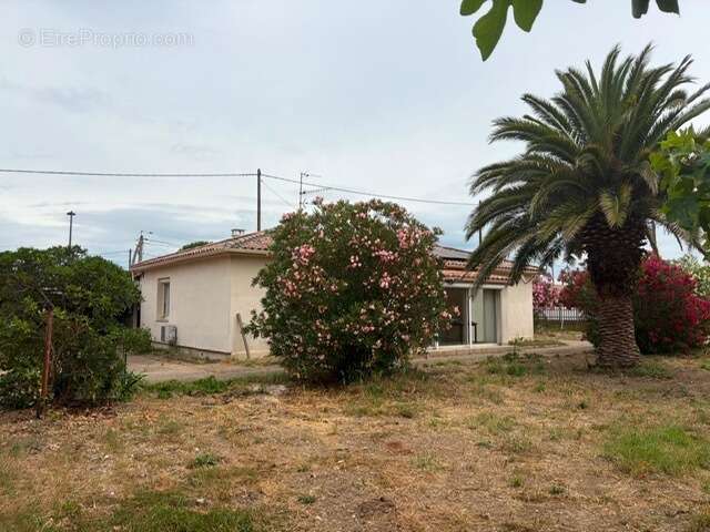 Maison à BOLLENE