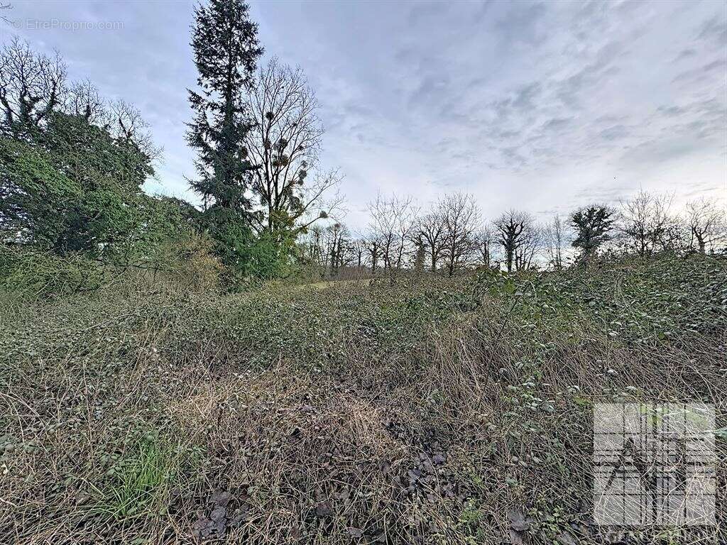Longère en pierres à rénover - 1,43ha - idéal chevaux - photo 18