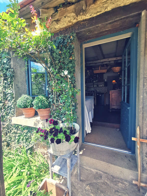 Maison d'artiste avec jardin botanique, source - Terrain 1,6 hectare - photo 39