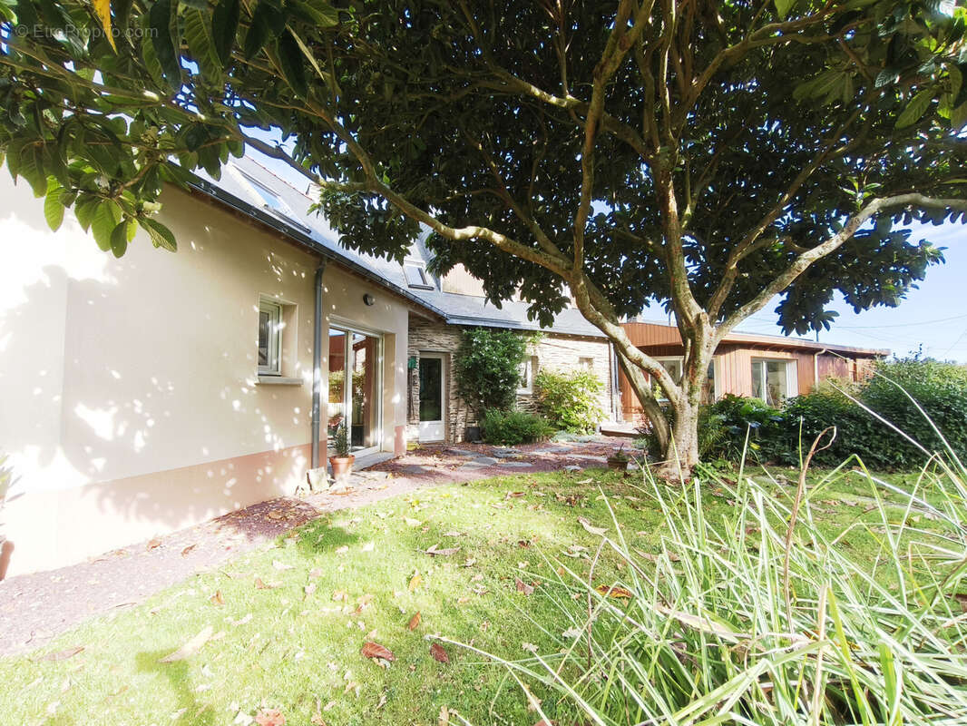 Maison à GUEMENE-PENFAO