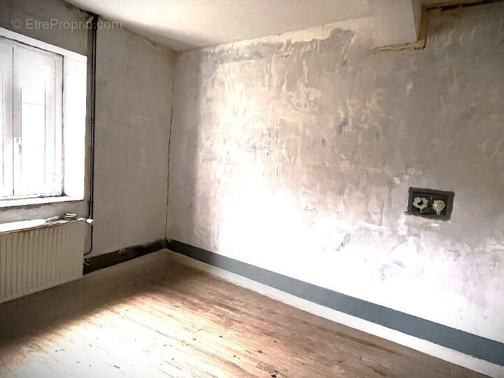 A vendre maison + dependances sur 1,2ha de terrain    chalabre - photo 5