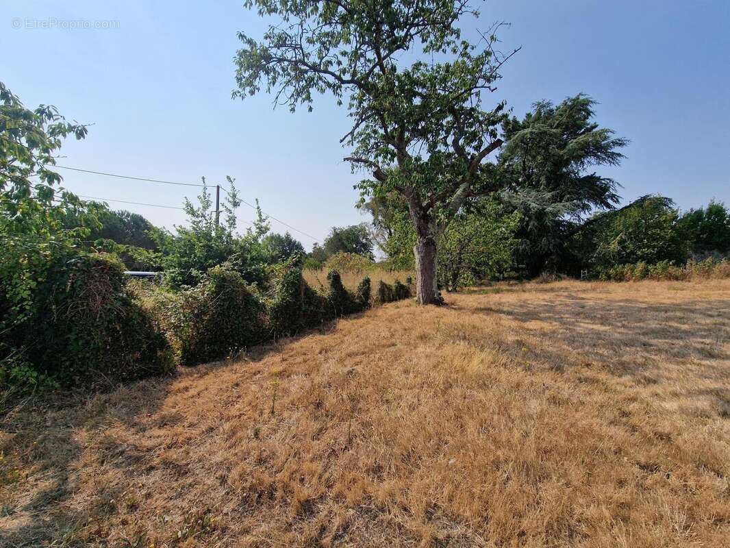 Terrain 316 m² à Saint-Fiacre-Sur-Maine  - photo 2