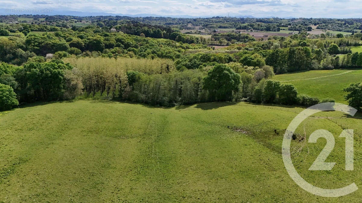 Terrain à ORTHEZ