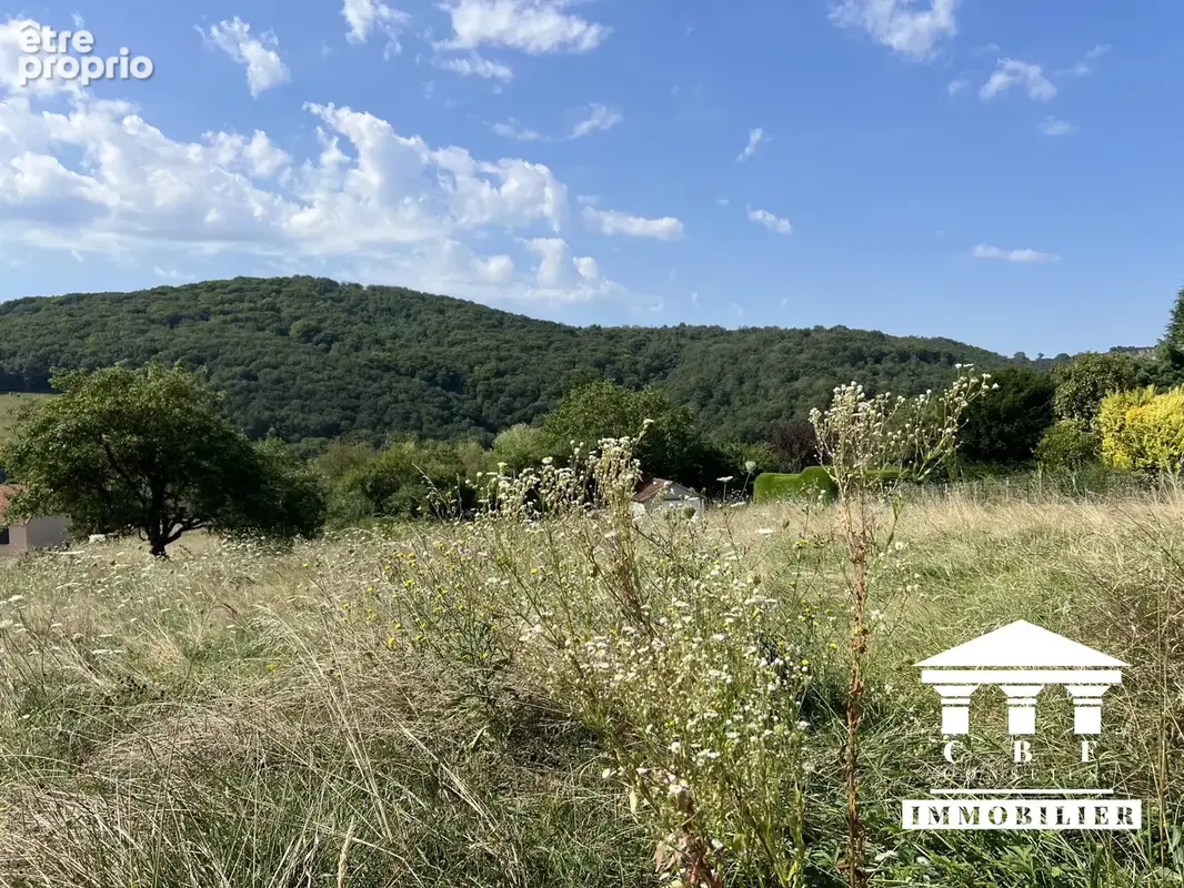 Photo Terrain à Saint-Sernin-Du-Bois au prix de 35 900€