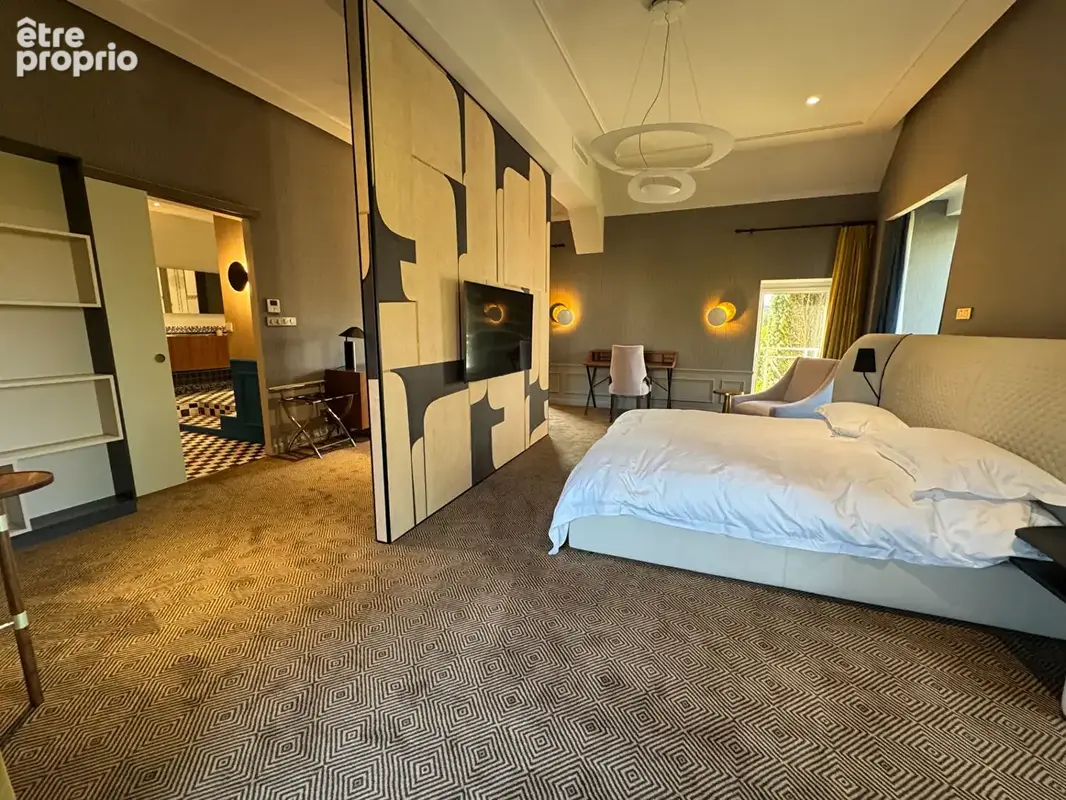 Demeure de prestige Coeur du vieux village  Thoiry 20 pièces  700 m2 - photo 8