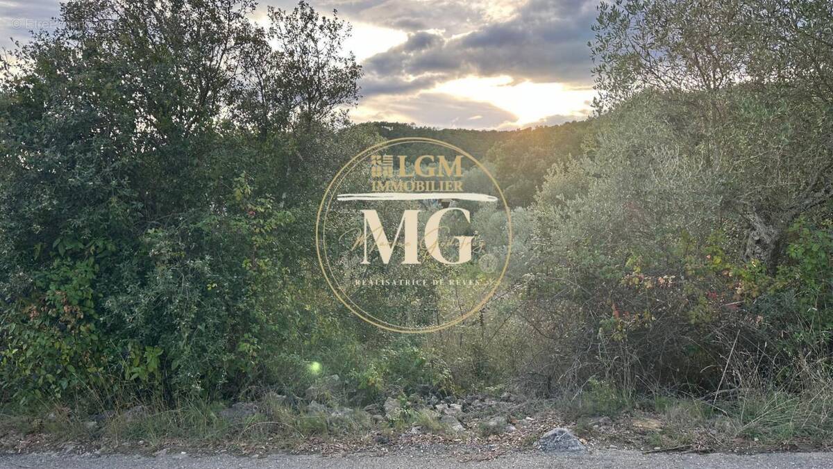 Terrain à LES MAGES