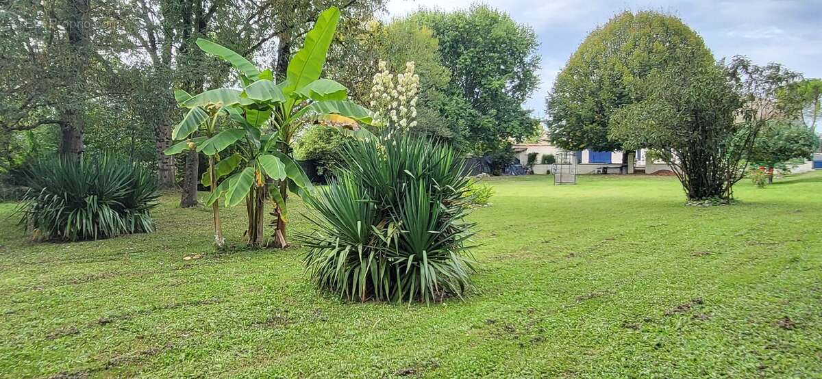 Maison à COURCELLES